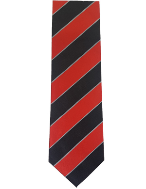 Ernest Bevin College Tie  - Red